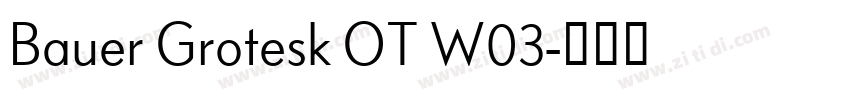 Bauer Grotesk OT W03字体转换